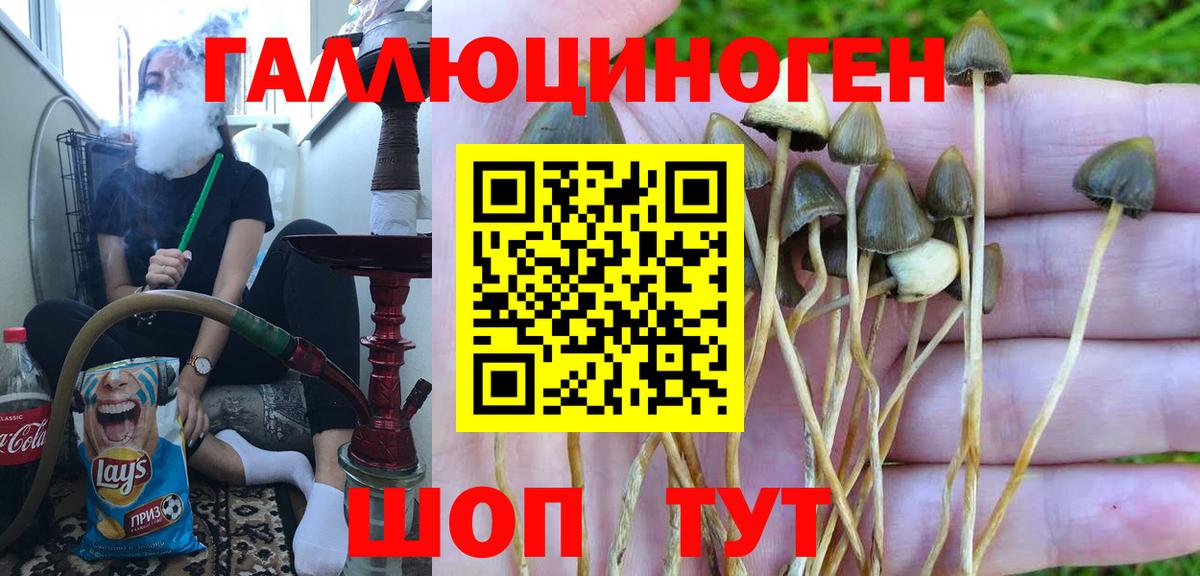 Галлюциногенные грибы мицелий  Вход с VPN  Псилоцибиновые грибы Psilocybine cubensis  Сафоново 